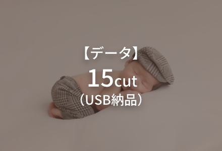 ニューボーンプラン データ15cut（USB納品）